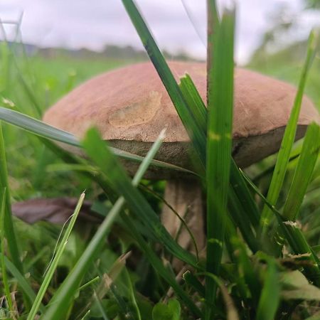 Ostoja Czersk Zamek Gora Kalwaria Exterior foto