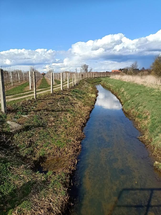 Ostoja Czersk Zamek Gora Kalwaria Exterior foto