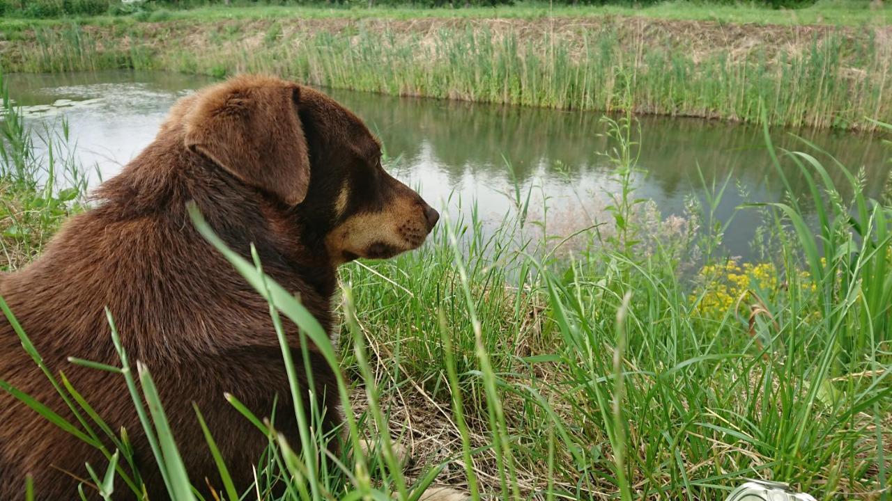 Ostoja Czersk Zamek Gora Kalwaria Exterior foto
