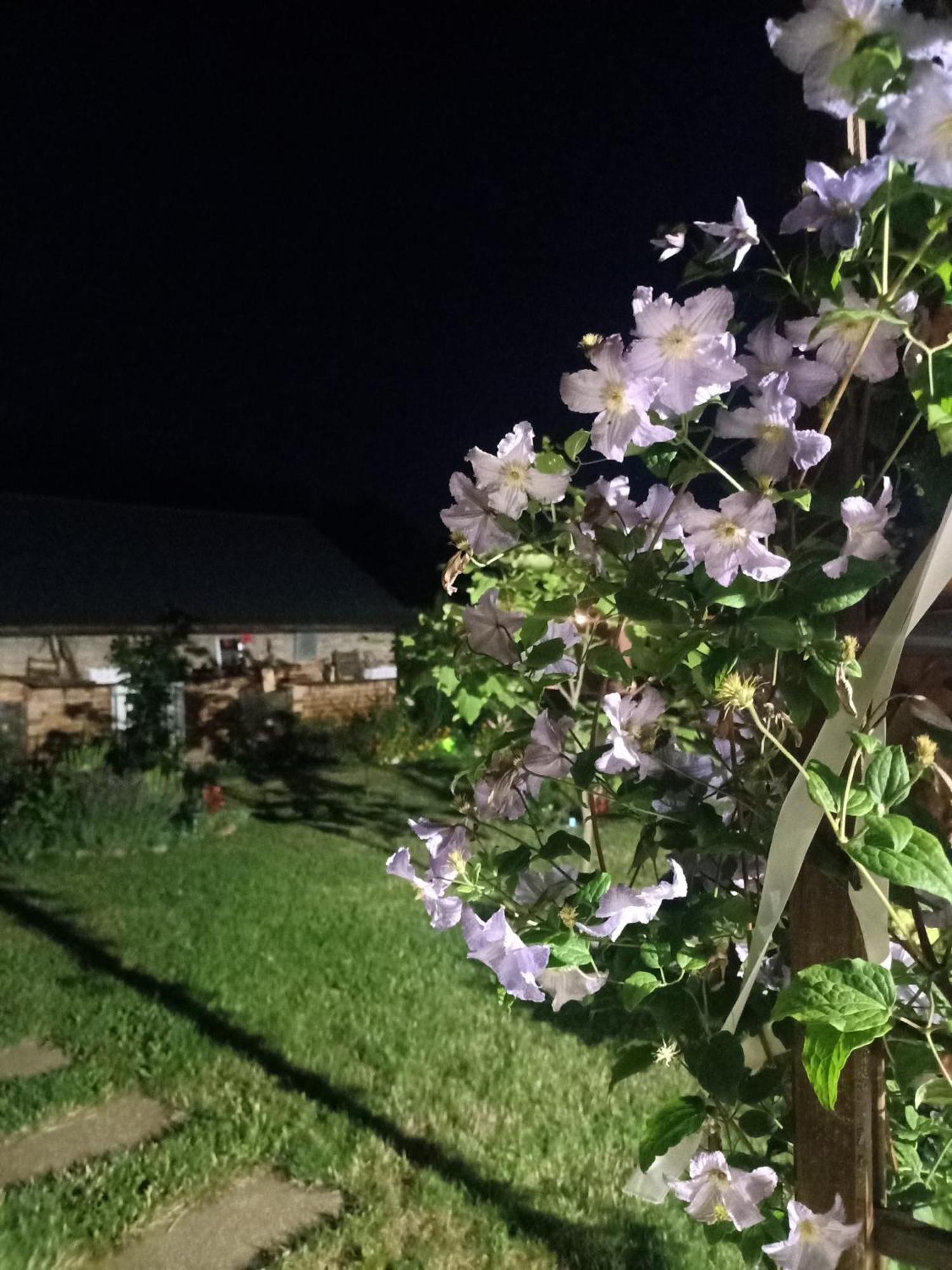 Ostoja Czersk Zamek Gora Kalwaria Exterior foto