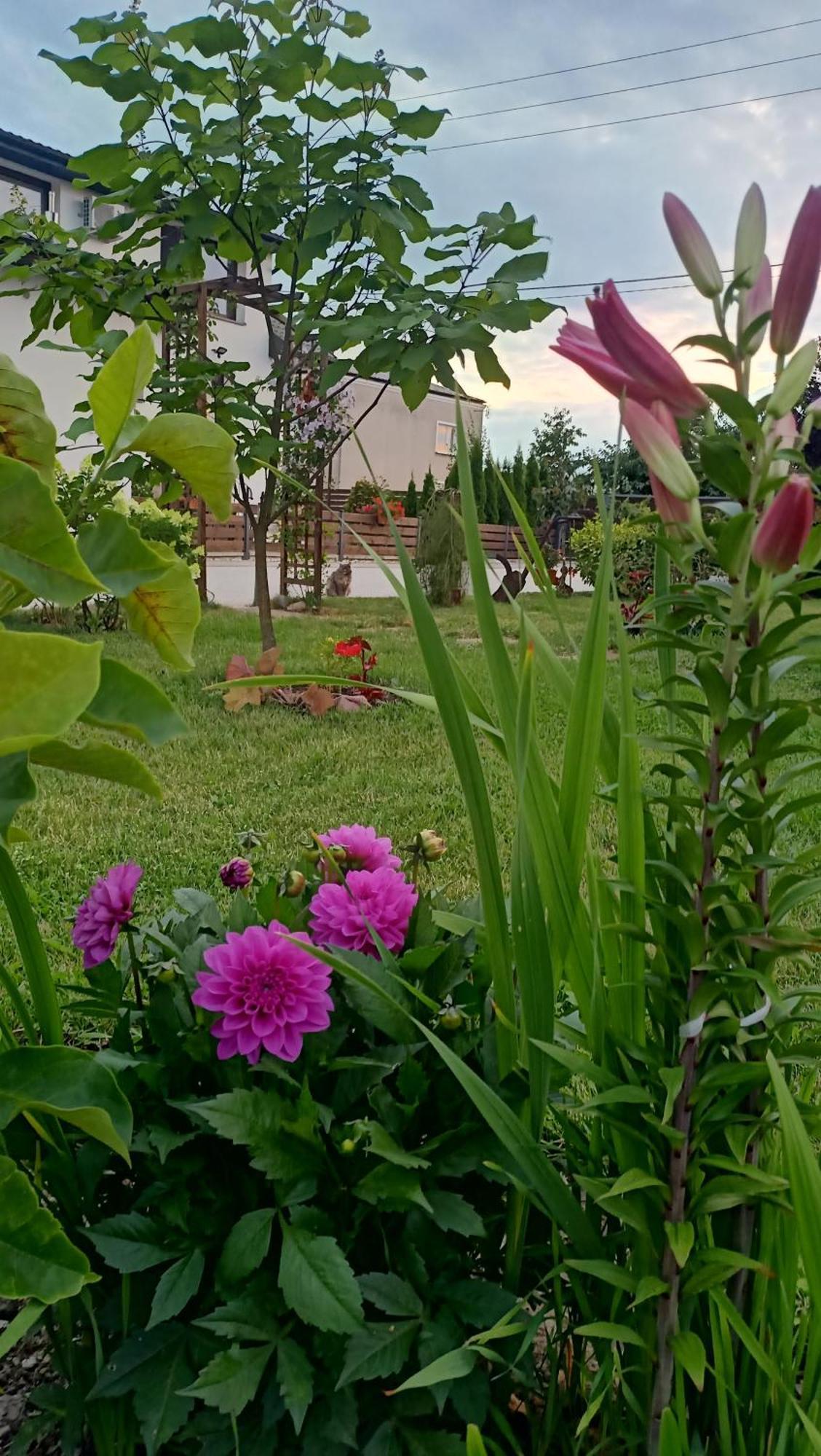 Ostoja Czersk Zamek Gora Kalwaria Exterior foto