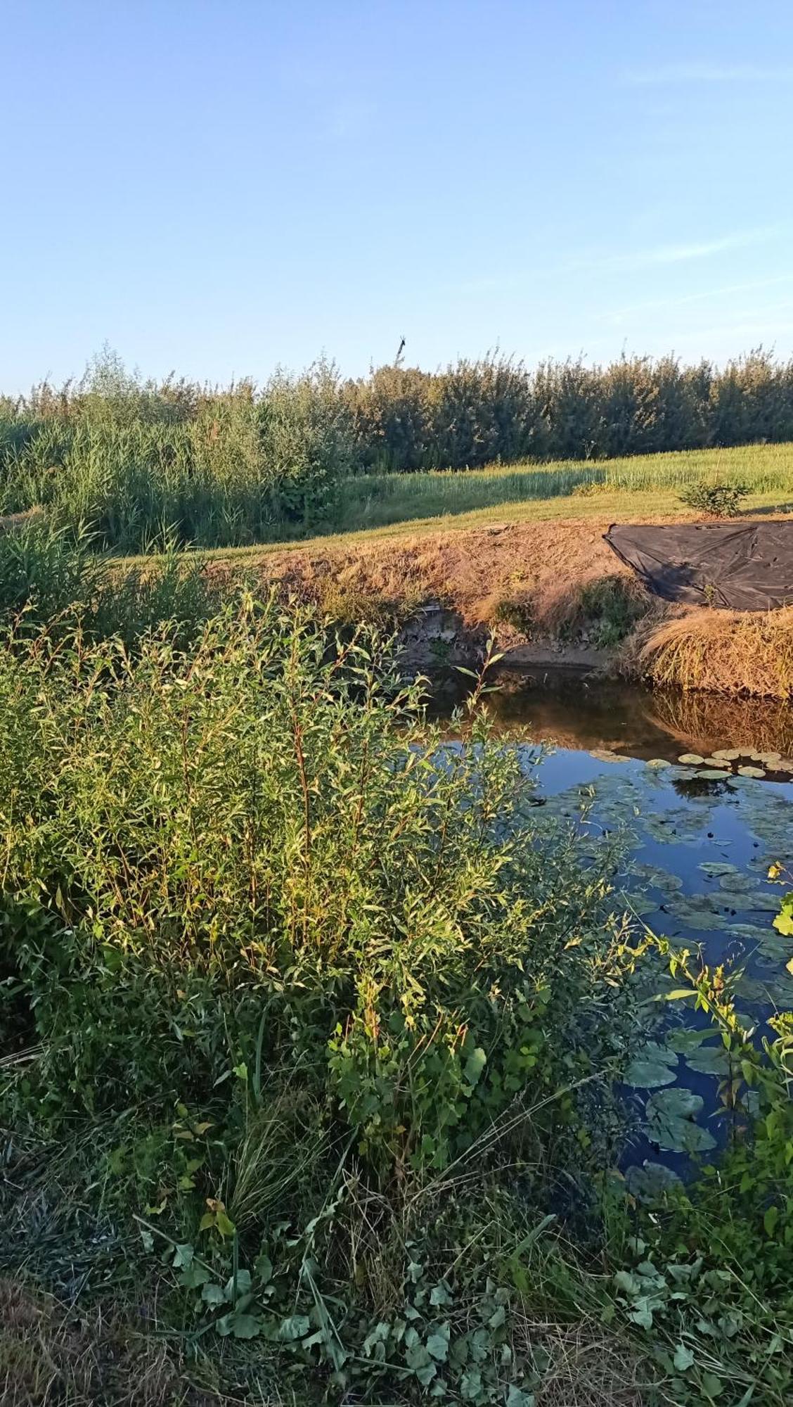 Ostoja Czersk Zamek Gora Kalwaria Exterior foto