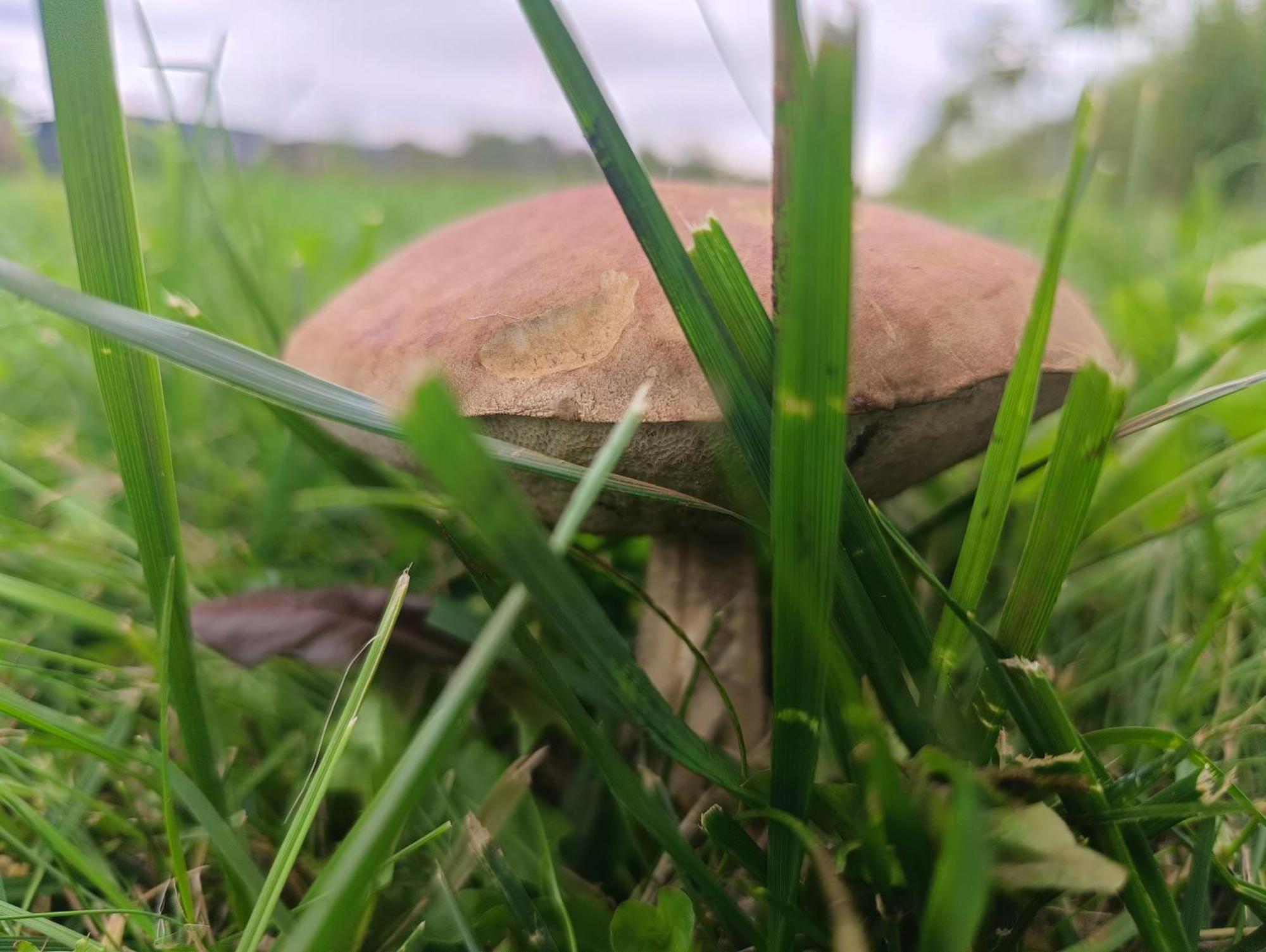 Ostoja Czersk Zamek Gora Kalwaria Exterior foto